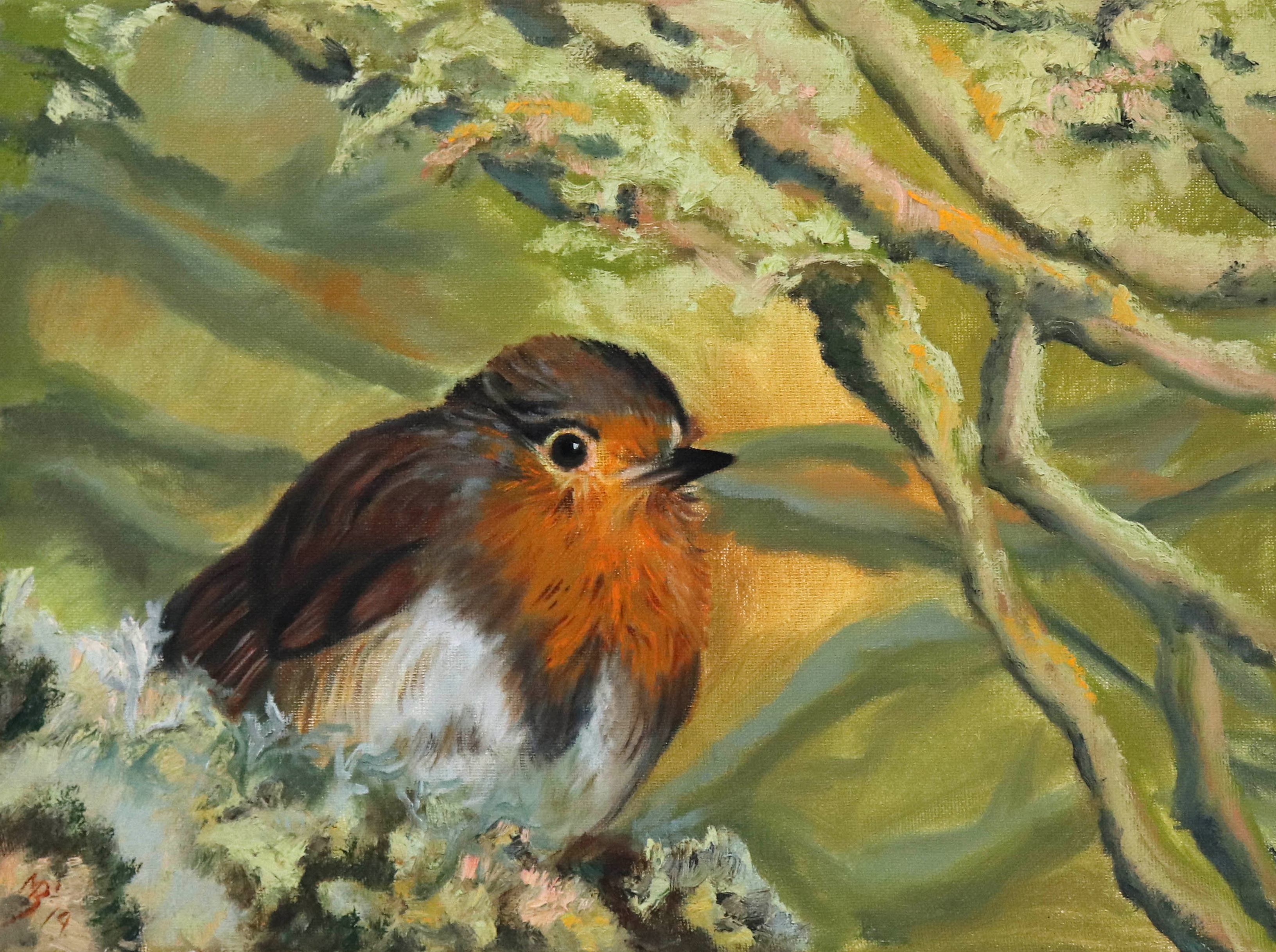 Robin bird by Marina Bowater